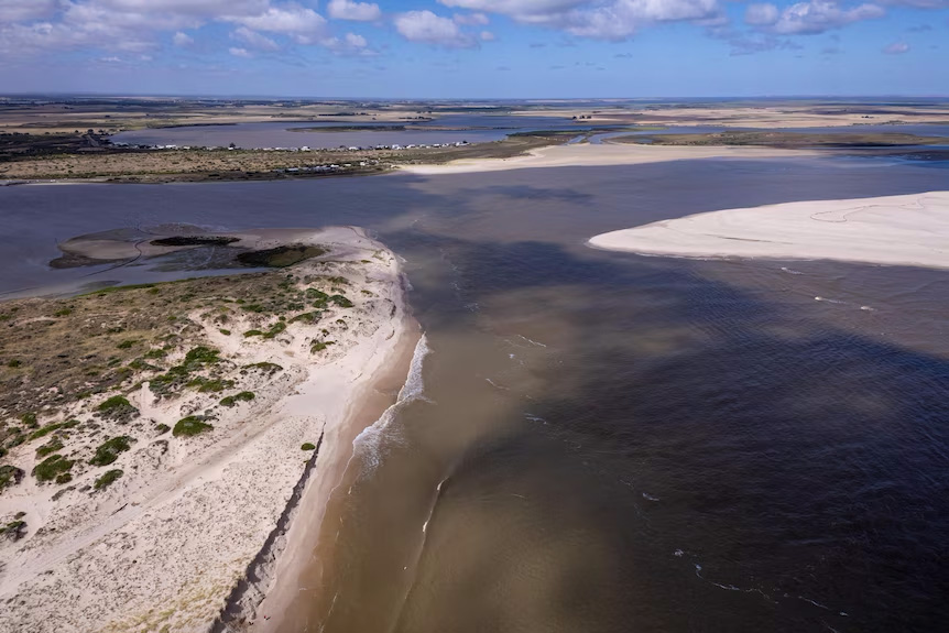 Tailem Bend sits along the lower stretches of the River Murray, which eventually meets the sea at the Murray mouth in the Coorong. (ABC News: Che Chorley)